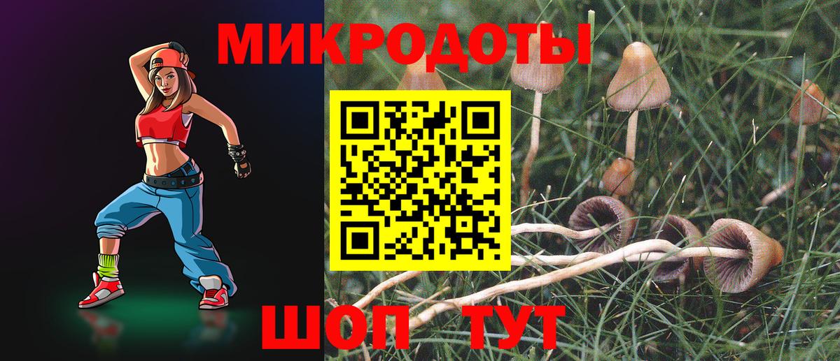Менделеевск  Псилоцибиновые грибы мицелий  Вход с VPN 